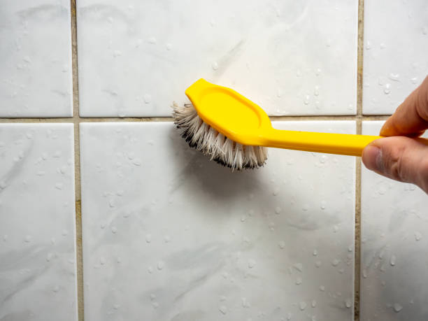 Best Certified Mold Removal  in Bedford, OH