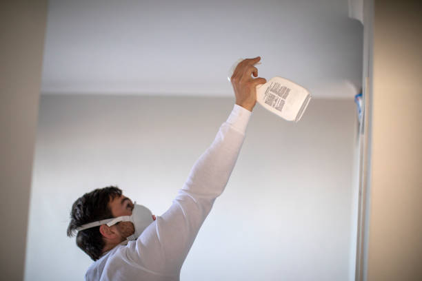 Office Mold Removal Services in Bedford, OH